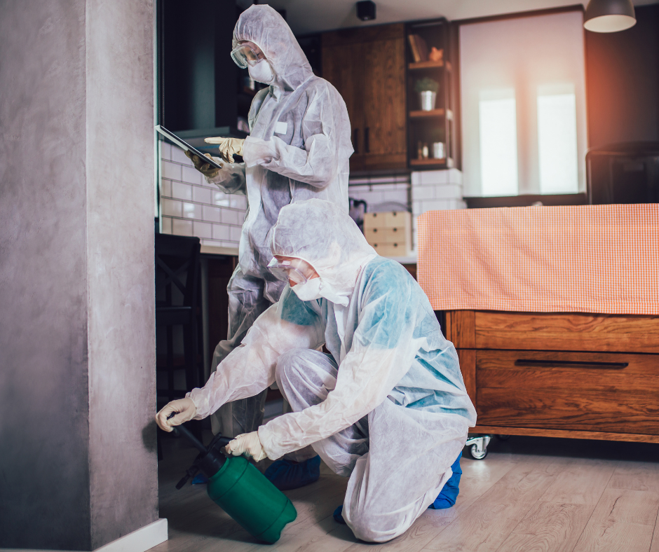 E1 Pest Control