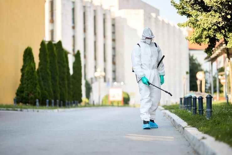 Pest-Treatment-Services