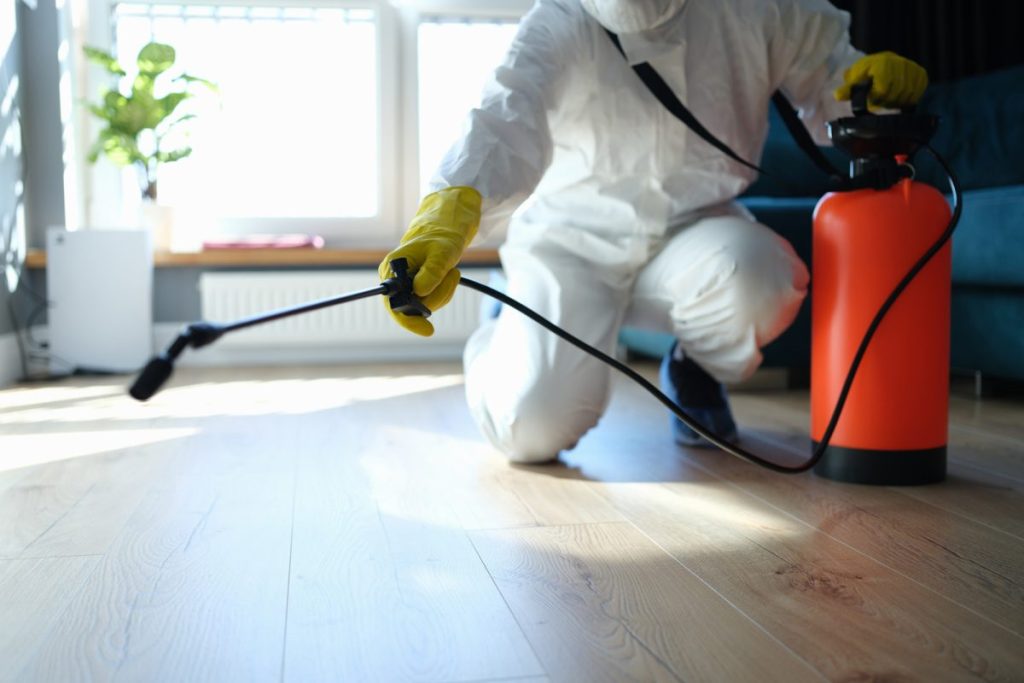 Professional Pest Control Sydney