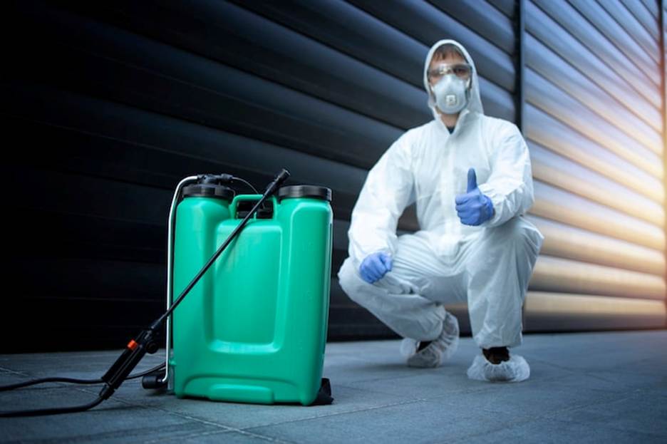 Pest Control Services Sydney