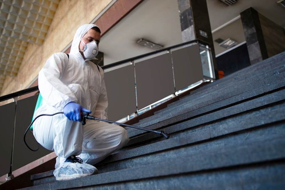 Termite Pest Control Sydney