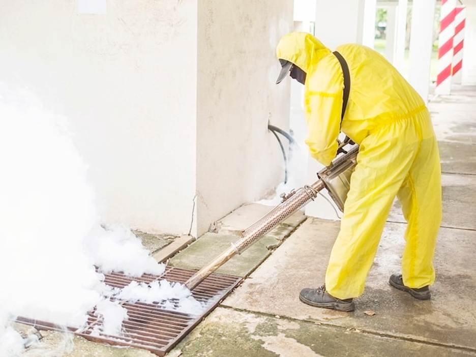 Pest Management Sydney
